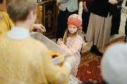 2026 год