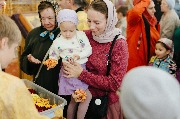2026 год