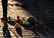 2026 год