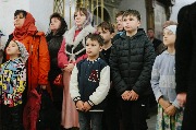 2026 год