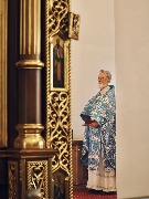 2026 год